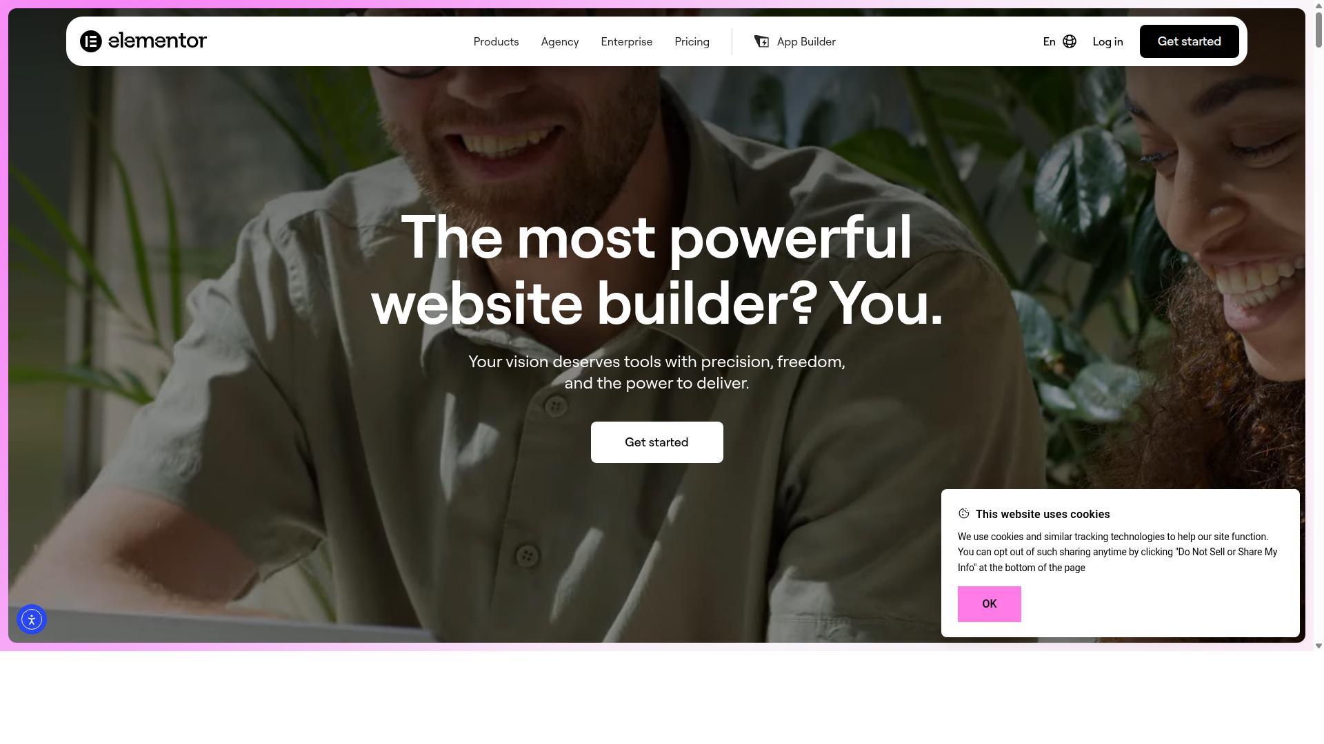 Elementor website